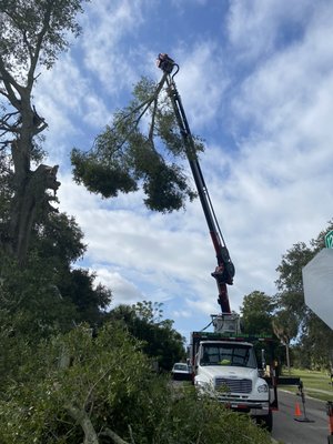 Tree Removal & Emergency Tree Removal - In all cases, tree removal is best handled by the reputable professionals. We have the equipment, experience and expertise to remove any tree safely in any situation.
A Low Cost Tree Service is the first company in Pinellas County to have the Knuckle Boom Grapple! Called an industry game changer by many; the grapplesaw truck crane is the safest and most efficient method of tree removal.
Our professional and highly-skilled crew can remove a tree safely and ensure there is no damage done to the structures around your home. If you are looking for tree removal services and you want a company that has a proven track record of dependability, safety and great customer service, contact us to learn more.
We are fully insured for your protection. Tree Removal & Emergency Tree Removal - In all cases, tree removal is best handled by the reputable professionals. We have the equipment, experience and expertise to remove any tree safely in any situation.
A Low Cost Tree Service is the first company in Pinellas County to have the Knuckle Boom Grapple! Called an industry game changer by many; the grapplesaw truck crane is the safest and most efficient method of tree removal.
Our professional and highly-skilled crew can remove a tree safely and ensure there is no damage done to the structures around your home. If you are looking for tree removal services and you want a company that has a proven track record of dependability, safety and great customer service, contact us to learn more.
We are fully insured for your protection.
