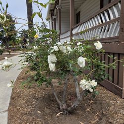 Carlsbad Historical Society Museum