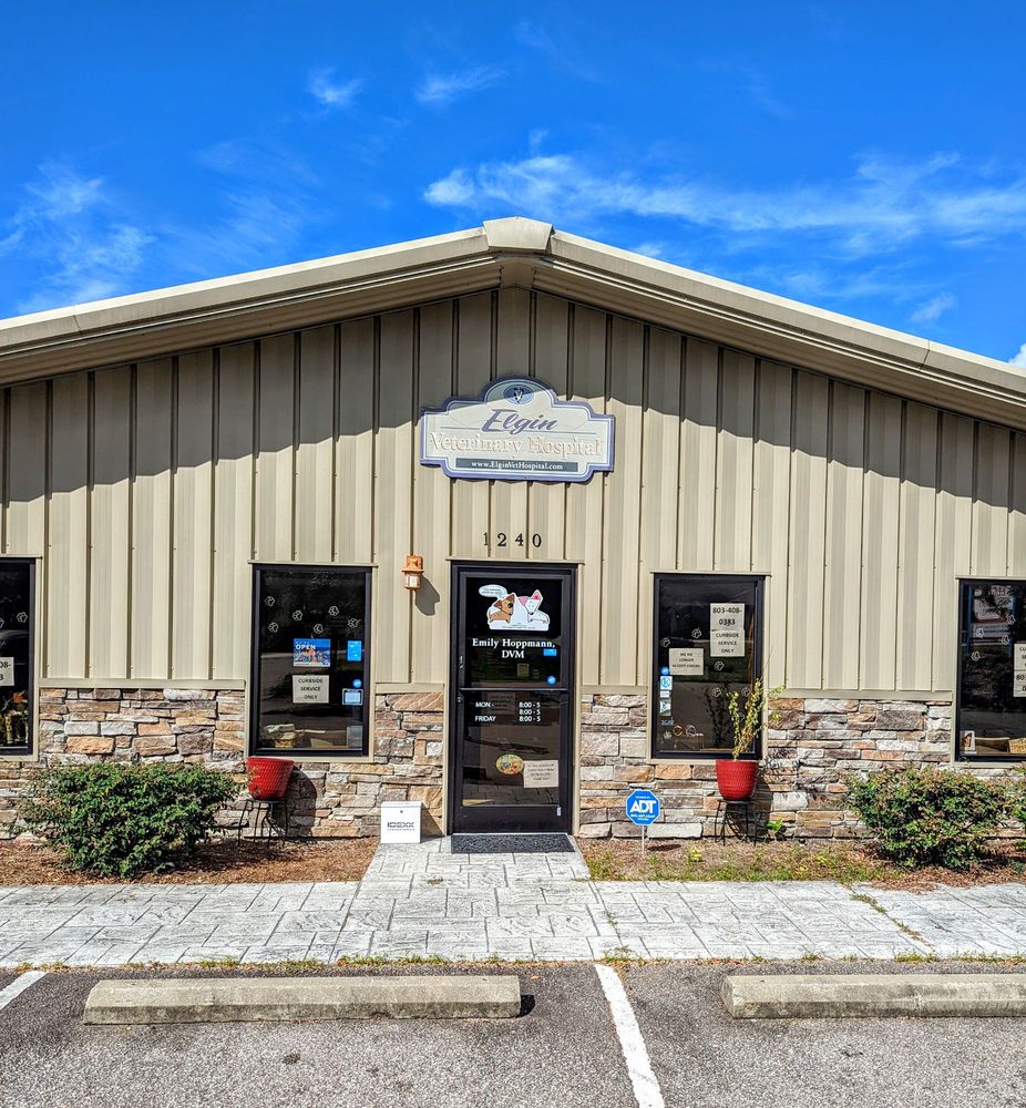 ELGIN VETERINARY HOSPITAL Updated October 2024 13 Reviews 1240