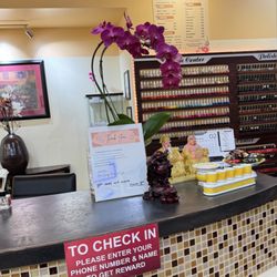 Hoa Salon