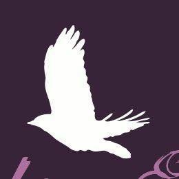 Breaking Free - social services organization in St Paul, MN