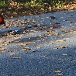Rockingham County Towing