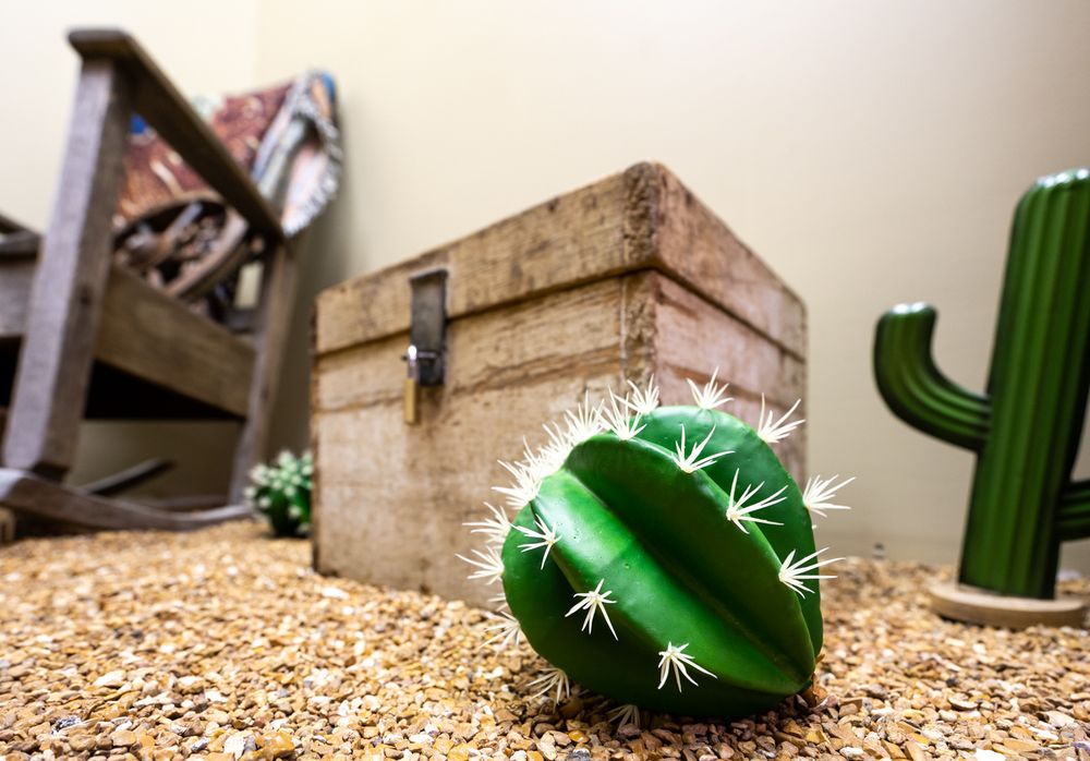 Social spots from Escapetown Peoria