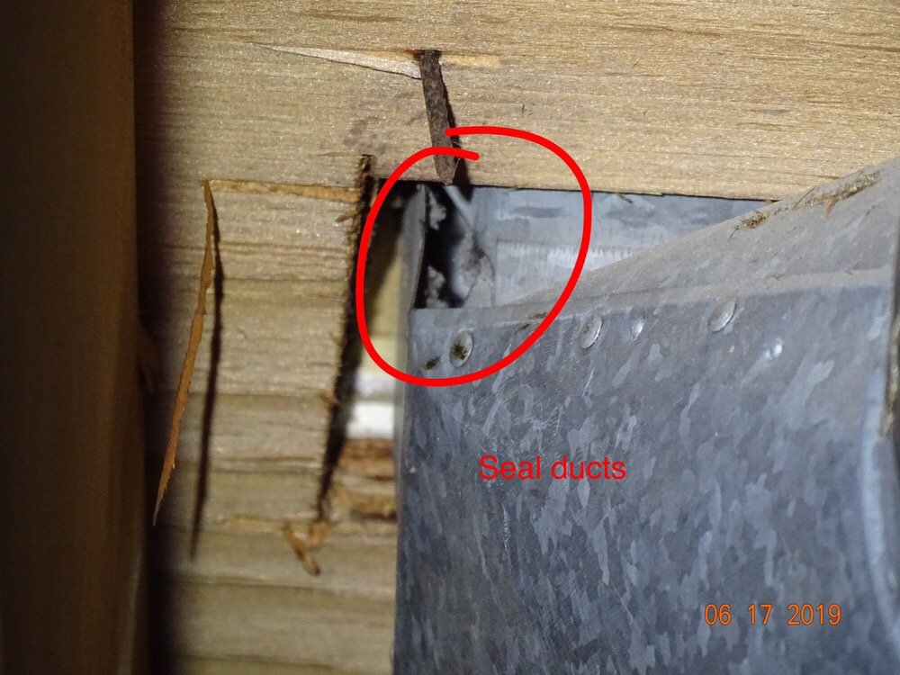 My Mold Finder - mold inspector in Bedford, NY