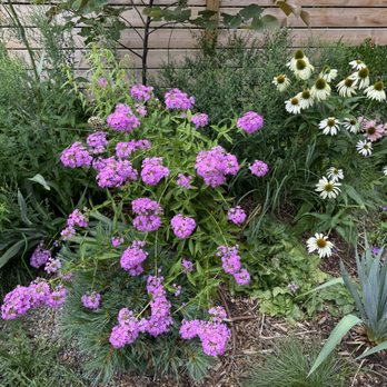 Design by Plants - Landscaping Near Me - Kerhonkson, New York