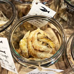 Polkadog - Freeze dried shrimp