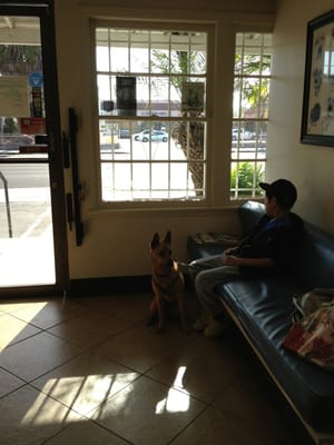 Alondra Animal Hospital by null