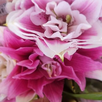 Trader Joe's - More gorgeous flowers... - Grocery Near Me - San Diego, California Trader Joe's - More gorgeous flowers... - Grocery Near Me - San Diego, California
