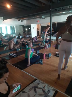 Black Swan Yoga by null