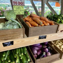 Bob and Lisa's Produce Stand - Look at the size of those carrots