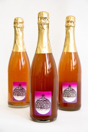 Enlightenment Wines - vineyard in Brooklyn, NY