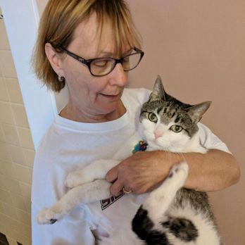 Portage Park Cat Sitter - Meet Linda! Our newest team member, she loves cats!! is extremely responsible, patient & nurturing with your babies while you are away .... - Pet Sitting Near Me - Chicago, Illinois Portage Park Cat Sitter - Meet Linda! Our newest team member, she loves cats!! is extremely responsible, patient & nurturing with your babies while you are away .... - Pet Sitting Near Me - Chicago, Illinois