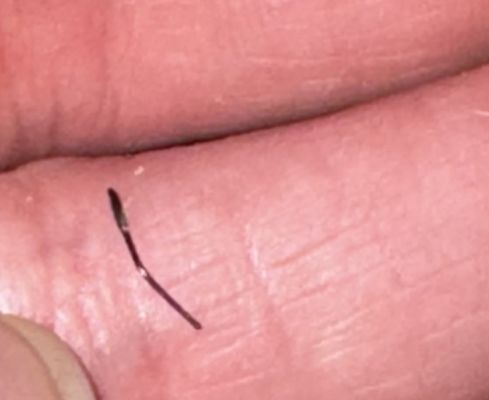 Barbacoa Los Gueros by null