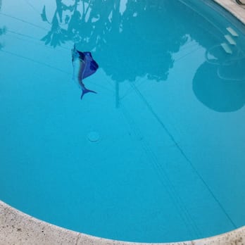 GT Pools - Pool & Hot Tub Service Near Me - Redondo Beach, California GT Pools - Pool & Hot Tub Service Near Me - Redondo Beach, California