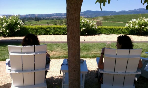 William Hill Estate Winery by null