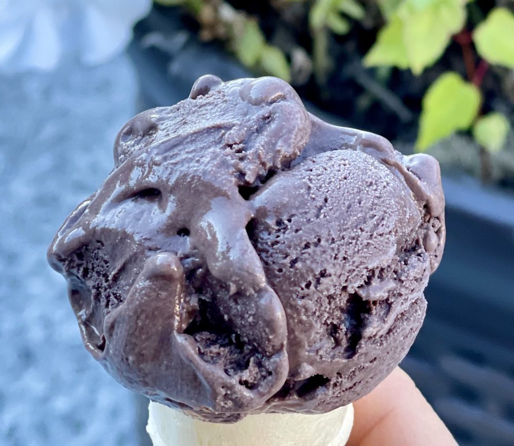 SCOOPS ICE CREAM & CANDY 80 Photos & 75 Reviews 5711 8th Ave