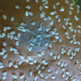 McDonald's - It is MOLD ON THE BUN!!! - Fast Food Near Me - Arcadia, California McDonald's - It is MOLD ON THE BUN!!! - Fast Food Near Me - Arcadia, California