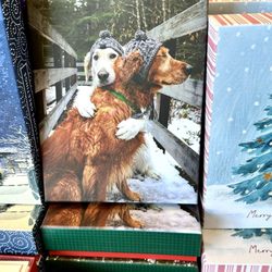Barnes & Noble - Cute Christmas card!