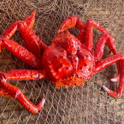 Crab King Cajun Boil & Bar by null