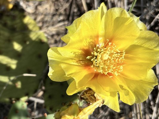 Indiana Dunes Visitor Center by null