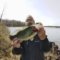 Sportmaster Bait and Tackle - Wayne clegg
