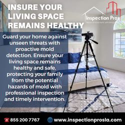 Inspection Pros - Guard your home against unseen threats with proactive mold detection.
