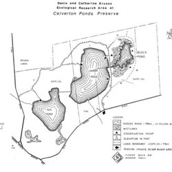 Calverton Ponds Preserve - Trail Map