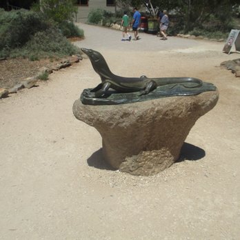 Monarto Safari Park - Lizard Statue - Zoos Near Me - Monarto, SA
