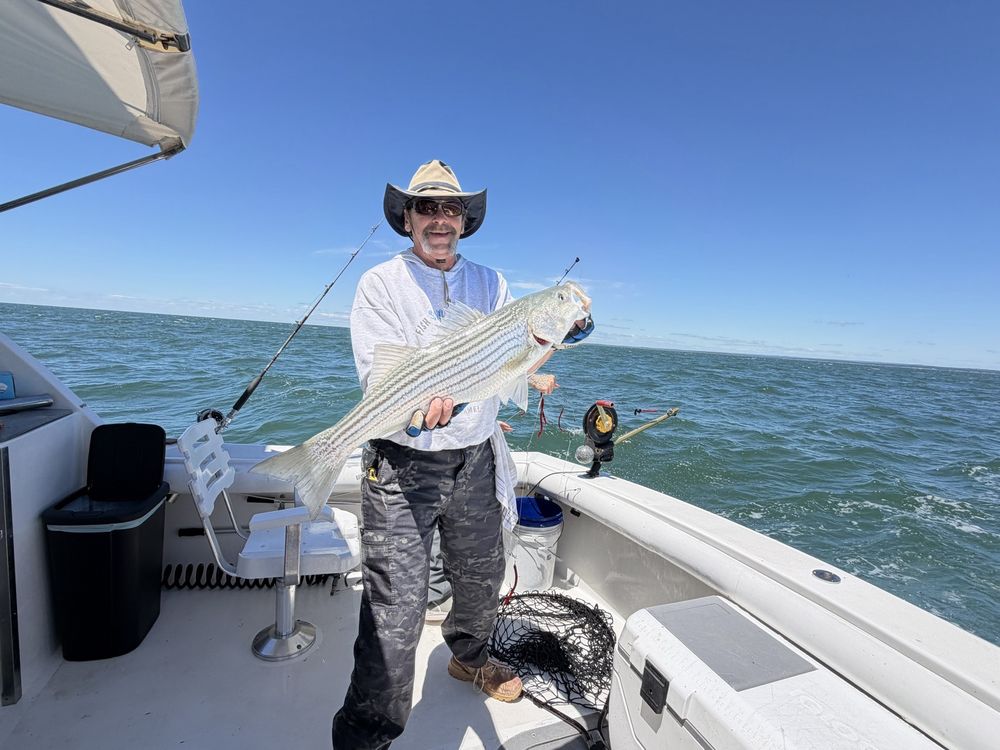 Islander Sport Fishing Charters Logo