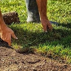 Gerdes Turf Farms