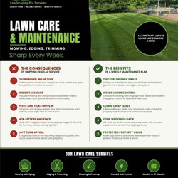 Benitez Landscaping Pro Services