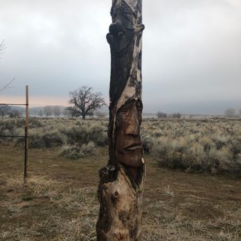 Brite Valley Aquatic Recreation Area - Tree art - Fishing Near Me - Tehachapi, California Brite Valley Aquatic Recreation Area - Tree art - Fishing Near Me - Tehachapi, California