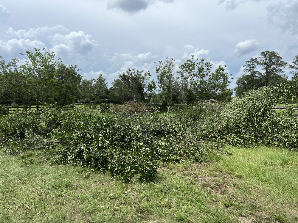 Slide of Diamond Loaders