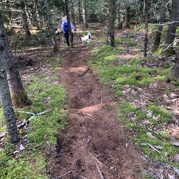 Tennis Preserve Loop Trail - A broad section of the Davis Farm Trail. - Hiking Near Me - Deer Isle, Maine