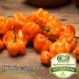 Photo of Honest Seed Co