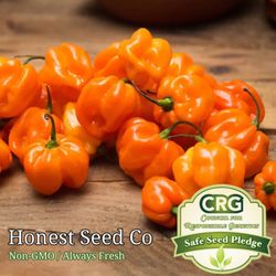 Honest Seed Co