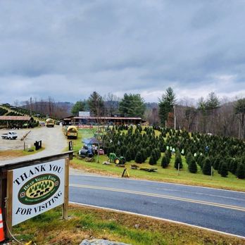Bear Valley Farm - Bear Valley Farm - Christmas Trees Near Me - Glenville, North Carolina Bear Valley Farm - Bear Valley Farm - Christmas Trees Near Me - Glenville, North Carolina