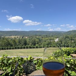 Chateau O'Brien at Northpoint - View of the vineyard