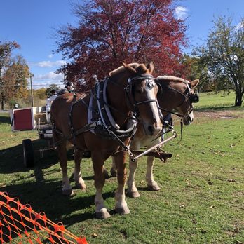 Lyman Orchards - Horse Drawn Hay Ride - Fruits & Veggies Near Me - Middlefield, Connecticut Lyman Orchards - Horse Drawn Hay Ride - Fruits & Veggies Near Me - Middlefield, Connecticut