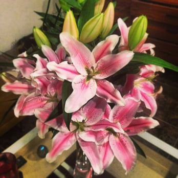 Matteson's Florist - By far the most stunning lilies I have ever seen! And they lasted forever! - Florists Near Me - Encinitas, California Matteson's Florist - By far the most stunning lilies I have ever seen! And they lasted forever! - Florists Near Me - Encinitas, California