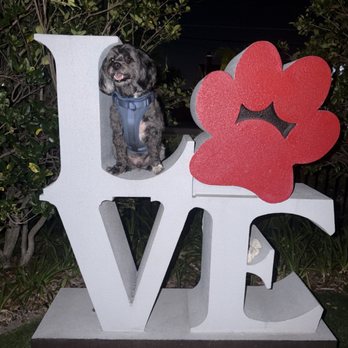 Barkhaven - Dog Parks Near Me - Orlando, Florida