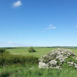 Paradies Rügen