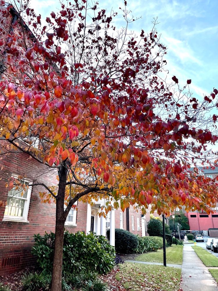 REDMONT GARDENS APARTMENTS Updated October 2024 33 Photos 2829