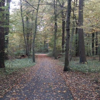 Eilenriede - Es wird Herbst - Landmarks & Historical Buildings Near Me - Hanover, NI
