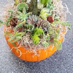 Leppek Nursery & Garden Center