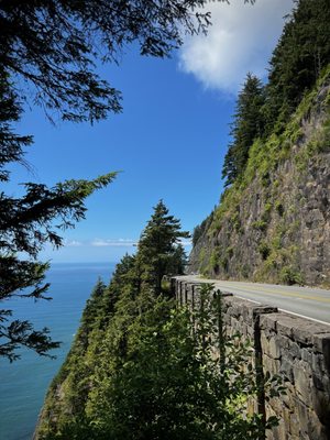 Oswald West State Park by null