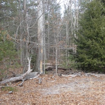 McLean Game Refuge - Hiking Near Me - Granby, Connecticut