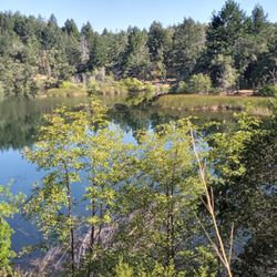 Lake Lagunitas