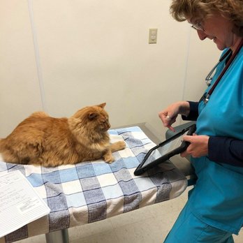 Bayshore Veterinary Clinic PC - Dr. Kay showing Gus his radiograph. - Veterinarians Near Me - Menominee, Michigan Bayshore Veterinary Clinic PC - Dr. Kay showing Gus his radiograph. - Veterinarians Near Me - Menominee, Michigan
