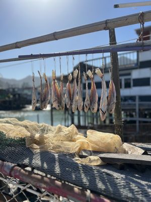 This Is Asia Tours by null